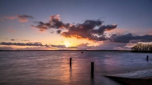 HY0A8486.jpg HY0A8486.jpg