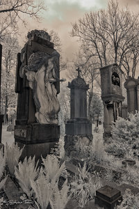 IMG_1141.jpg IMG_1141.jpg