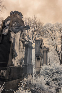 IMG_1153.jpg IMG_1153.jpg