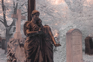 IMG_1204.jpg IMG_1204.jpg