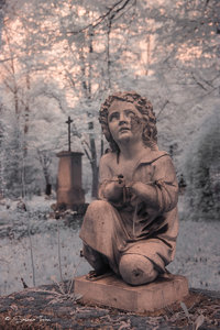 IMG_1208.jpg IMG_1208.jpg