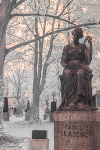 IMG_1212.jpg IMG_1212.jpg