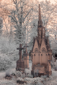 IMG_1213.jpg IMG_1213.jpg