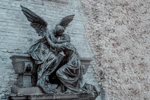 IMG_1230-2.jpg IMG_1230-2.jpg