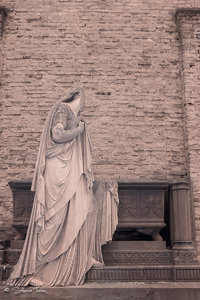 IMG_1241.jpg IMG_1241.jpg