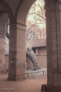 IMG_1248.jpg IMG_1248.jpg