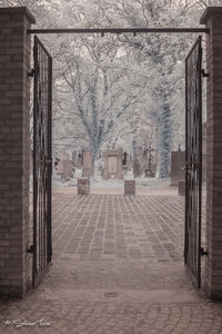 IMG_1251.jpg IMG_1251.jpg