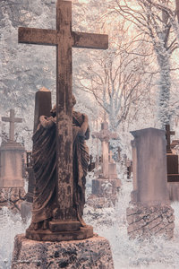 IMG_1262.jpg IMG_1262.jpg