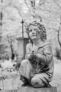 IMG_1276.jpg IMG_1276.jpg