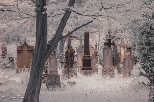 IMG_1281.jpg IMG_1281.jpg