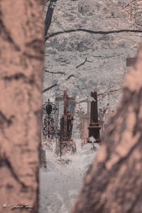 IMG_1282.jpg IMG_1282.jpg