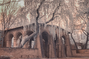 IMG_1285.jpg IMG_1285.jpg