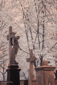 IMG_1307.jpg IMG_1307.jpg