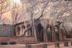 IMG_1308.jpg IMG_1308.jpg