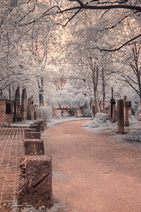 IMG_1309.jpg IMG_1309.jpg