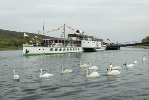 _SDI9953.jpg _SDI9953.jpg