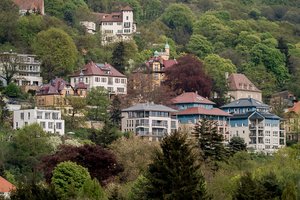 SDIM9818.jpg SDIM9818.jpg