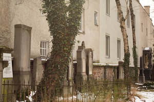 DM9A3195.jpg DM9A3195.jpg