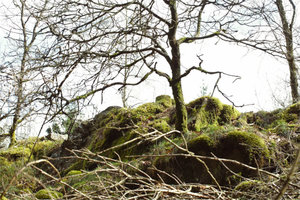 ausgangsbild.jpg ausgangsbild.jpg