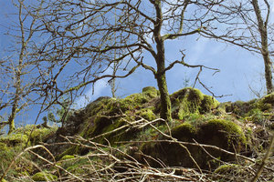 zwischen.jpg zwischen.jpg