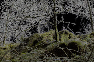 kanten.jpg kanten.jpg