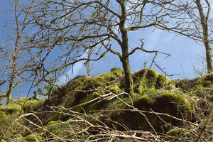 ergebnis.jpg ergebnis.jpg