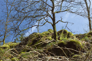 kanten_verbessert.jpg kanten_verbessert.jpg