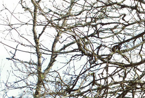 vorher100.jpg vorher100.jpg