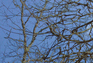 nachher100.jpg nachher100.jpg