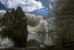 comp_IMG_2278.jpg comp_IMG_2278.jpg