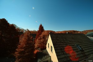 500k_SDIM0976_edited.jpg 500k_SDIM0976_edited.jpg