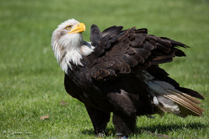 DM9A7715.jpg DM9A7715.jpg