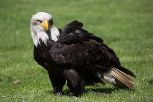 DM9A7718.jpg DM9A7718.jpg