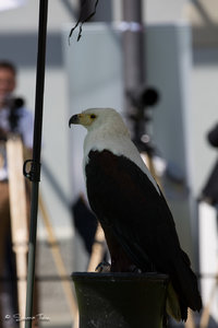 DM9A7814.jpg DM9A7814.jpg