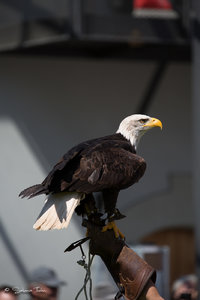 DM9A7924.jpg DM9A7924.jpg