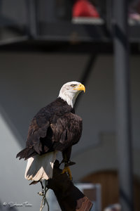 DM9A7931.jpg DM9A7931.jpg