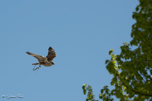 DM9A7998.jpg DM9A7998.jpg