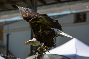 DM9A8327.jpg DM9A8327.jpg