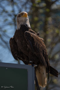 DM9A8355.jpg DM9A8355.jpg