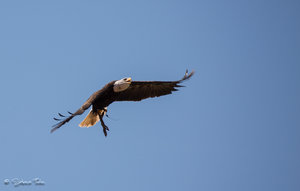 DM9A8435.jpg DM9A8435.jpg