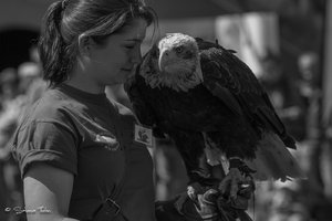 DM9A8463-2.jpg DM9A8463-2.jpg