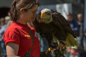 DM9A8463.jpg DM9A8463.jpg