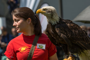 DM9A8468.jpg DM9A8468.jpg