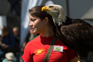 DM9A8469.jpg DM9A8469.jpg