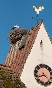 2016 05 05_1869_bearbeitet-2.jpg