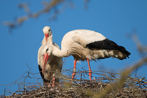 2016 05 05_1790_bearbeitet-2.jpg