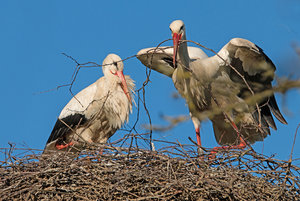 2016 05 05_1773_bearbeitet-2.jpg