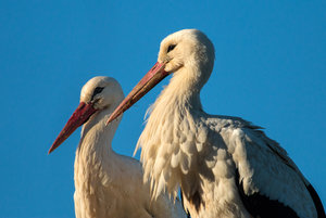 2016 05 05_1656_bearbeitet-2.jpg