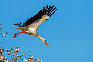 2016 05 05_1755_bearbeitet-2.jpg