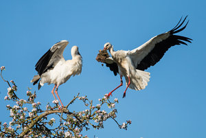 2016 05 05_1843_bearbeitet-2.jpg